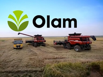 OLAM Rice Project